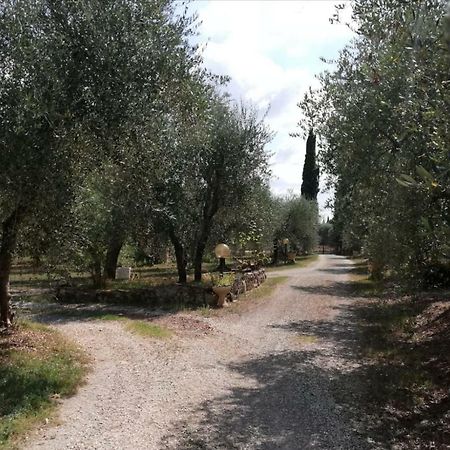 Appartement Nel Chianti Lungo La Francigena à Colle Val D'Elsa Extérieur photo