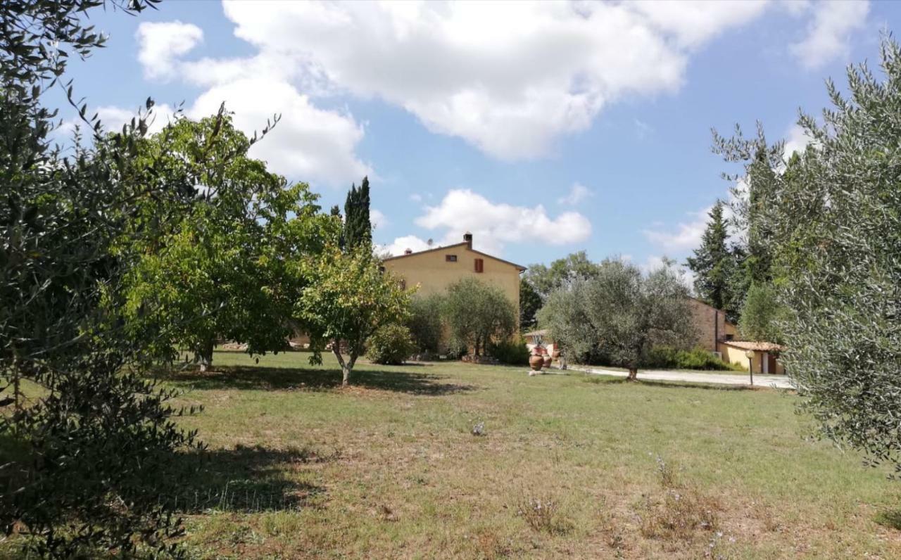 Appartement Nel Chianti Lungo La Francigena à Colle Val D'Elsa Extérieur photo