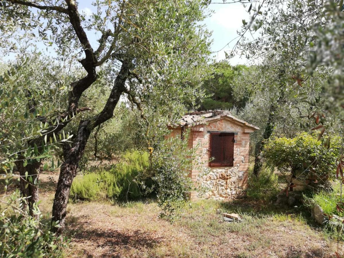Appartement Nel Chianti Lungo La Francigena à Colle Val D'Elsa Extérieur photo