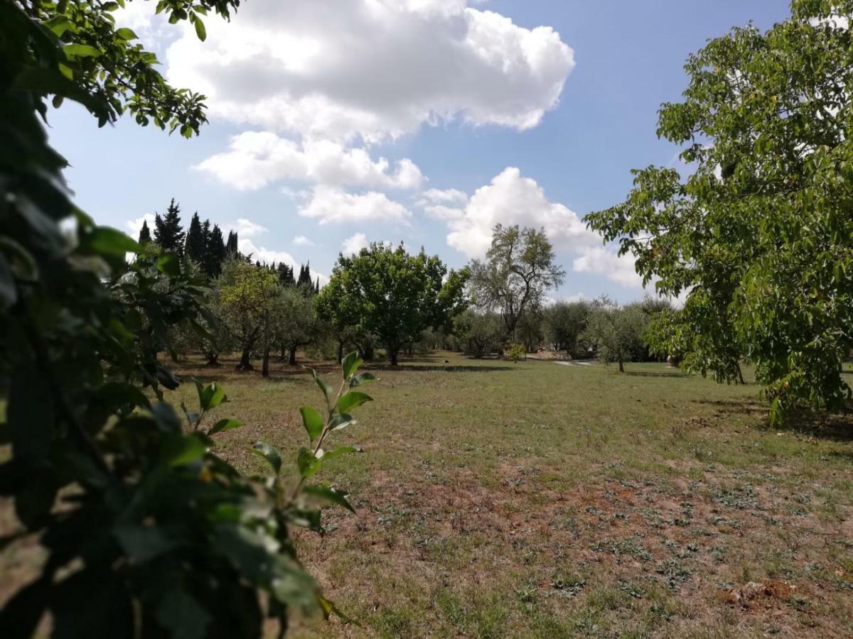 Appartement Nel Chianti Lungo La Francigena à Colle Val D'Elsa Extérieur photo