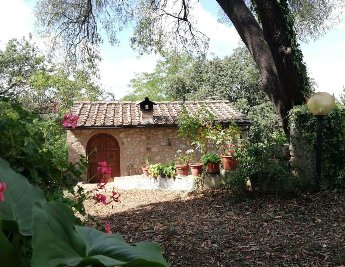 Appartement Nel Chianti Lungo La Francigena à Colle Val D'Elsa Extérieur photo