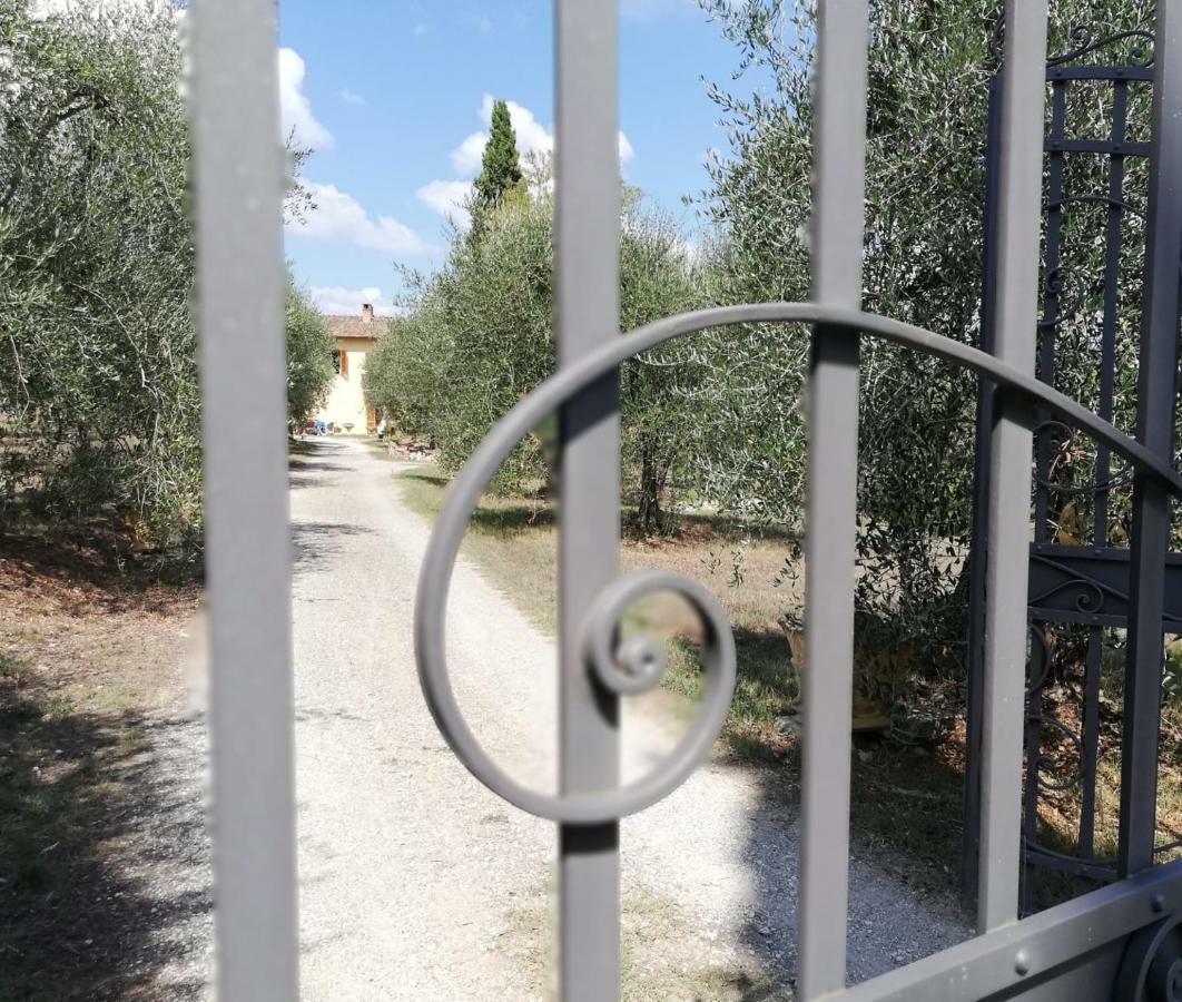 Appartement Nel Chianti Lungo La Francigena à Colle Val D'Elsa Extérieur photo