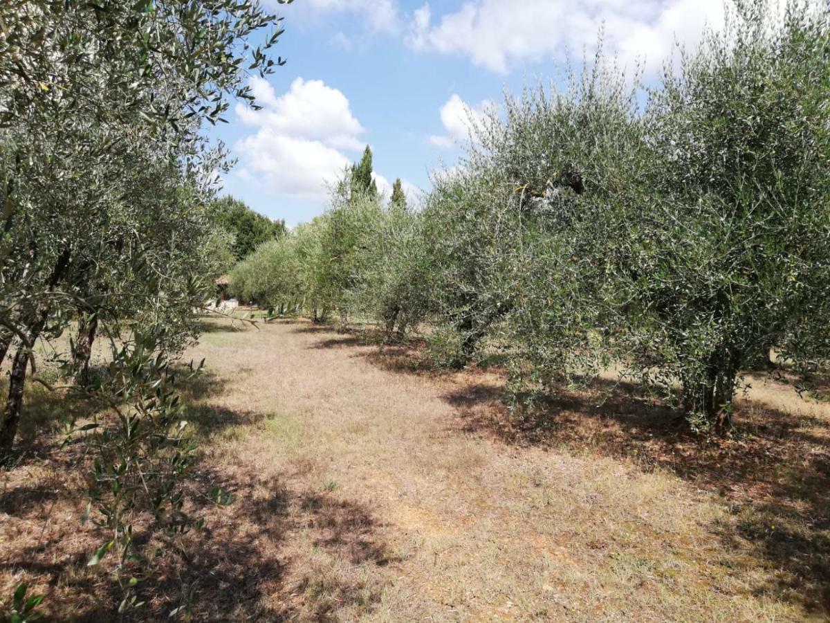 Appartement Nel Chianti Lungo La Francigena à Colle Val D'Elsa Extérieur photo