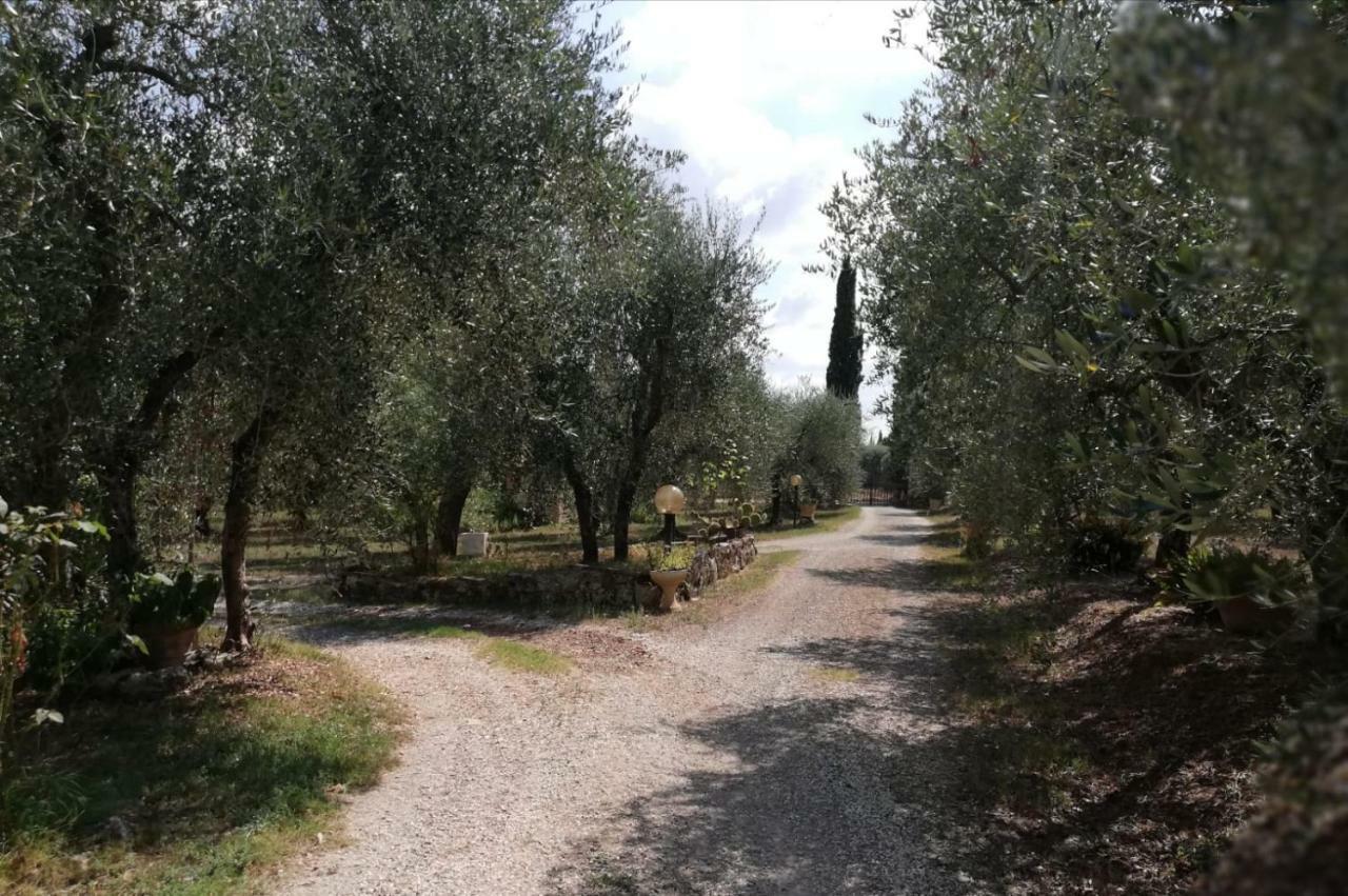 Appartement Nel Chianti Lungo La Francigena à Colle Val D'Elsa Extérieur photo
